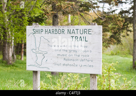 Inscrivez-vous au début de la Ship Harbour Sentier Nature au parc national Acadia Mount Desert Island, Maine, USA. Banque D'Images