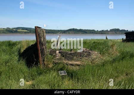 Barges fait naufrage près du village de Purton Gloucestershire, sur les rives du fleuve Severn Banque D'Images