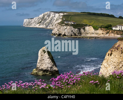 Île de Wight, l'eau douce Bay et Tennyson Down de Compton Vers le bas, l'OIEAU, England, UK. Banque D'Images