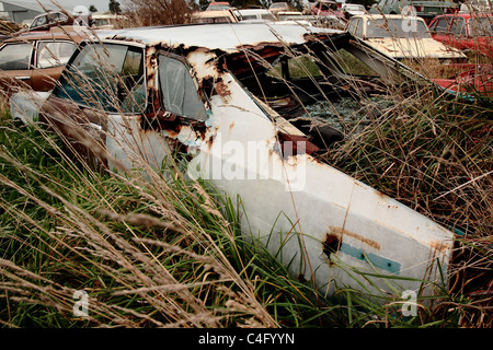 Une vieille voiture rouillée dans un parc à ferrailles à Invercargill, Nouvelle Zélande Banque D'Images