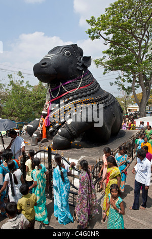 Pèlerins hindous adorant le sacré Nandi Bull (véhicule de Shiva). Chamundi hill. Mysore. L'Inde Banque D'Images