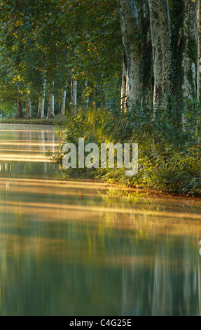 Le Canal du Midi Castelnaudary, Aude nr, Midi-Pyrénées, France Banque D'Images