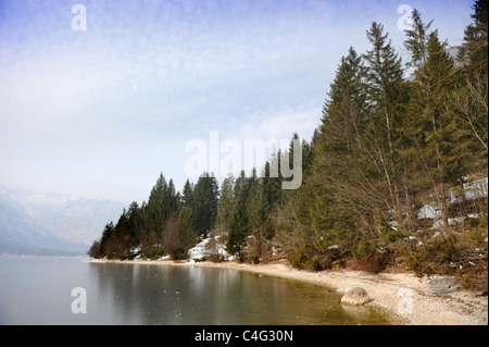 Vue sur le lac de Bohinj dans le parc national du Triglav de Slovénie Banque D'Images