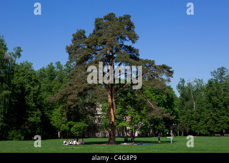 Les enfants ayant un pique-nique et jouant au football dans les jardins du 18ème siècle de style néo-gothique, néo-gothique (Palais de Tsaritsyno) à Moscou, Russie Banque D'Images