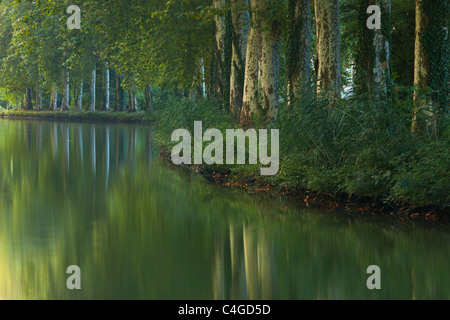 Le Canal du Midi Castelnaudary, Aude nr, Midi-Pyrénées, France Banque D'Images