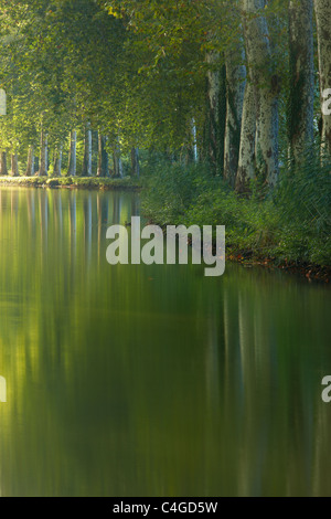 Le Canal du Midi Castelnaudary, Aude nr, Midi-Pyrénées, France Banque D'Images