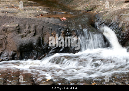 Sculptures sur roc à Kbal Spean dans les montagnes du Kulen près de Angkor, Cambodge Banque D'Images