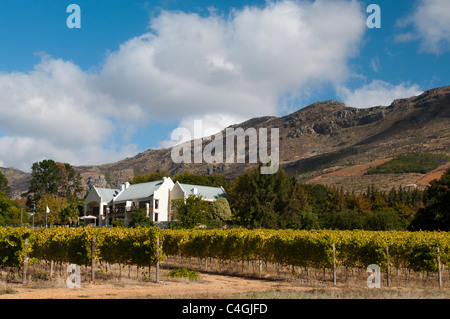 Vin Zorgvliet Estate, Stellenbosch, Cape Town, Afrique du Sud. Banque D'Images