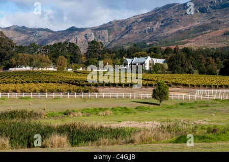 Vin Zorgvliet Estate, Stellenbosch, Cape Town, Afrique du Sud. Banque D'Images