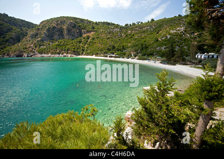 Plage Limnonari et Bay sur l'île de Skopelos, Sporades du Nord, Grèce Banque D'Images