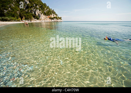 La plongée dans l'eau claire de la baie et Plage Limnonari sur l' île de Skopelos, Sporades du Nord, Grèce Banque D'Images