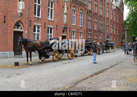 Calèches en ligne à leur arrêt de repos en Wijngaardplein, Bruges, Belgique. Banque D'Images