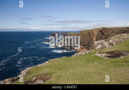 Eshaness Îles Shetland herbacé pointe au-dessus des falaises de grès rouge des grottes et des piles de la côte Northmavine Banque D'Images
