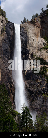 Scenic paysages panoramiques Bridal Veil Falls plein débit de l'eau ressort lourd plus grands rockcliff créer mist au-dessus des arbres dans le Parc National de Yosemite-NOUS Banque D'Images