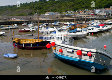 Marée basse à Lyme Regis Harbour Banque D'Images