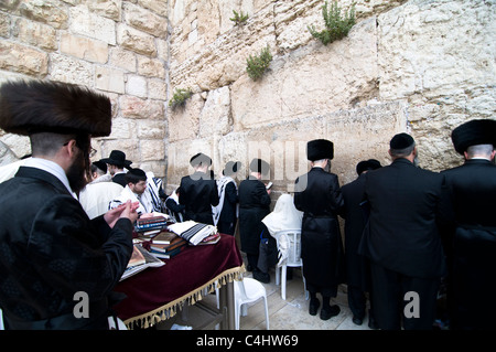 Les Juifs orthodoxes hassidique prier au mur des lamentations lors de la vacances de Pessah. Banque D'Images