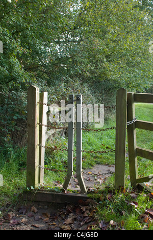 Les marcheurs stile entre les champs en Norfolk, East Anglia, Angleterre, RU Banque D'Images