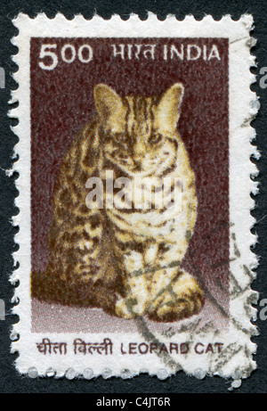 2000 Inde : un timbre imprimé en Inde, montre un chat-léopard (Prionailurus bengalensis) Banque D'Images