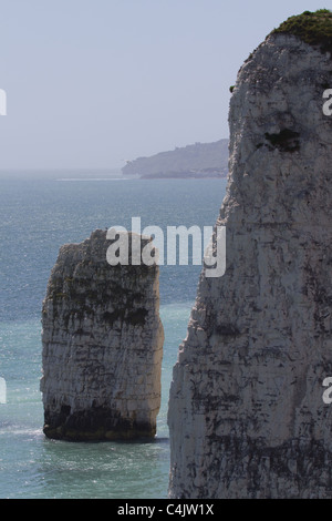 Falaises de craie près de Old Harry Rocks sur la côte du Dorset. À l'île de Purbeck, Dorset, UK. Banque D'Images