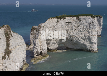 Falaises de craie près de Old Harry Rocks sur la côte du Dorset. À l'île de Purbeck, Dorset, UK. Banque D'Images