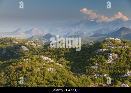 Vert paysage rocheux touffue du parc national de Lovcen, Monténégro Banque D'Images