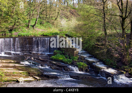 Weir et 'échelle à poisson' à Yarrow Valley Country Park à Chorley Banque D'Images