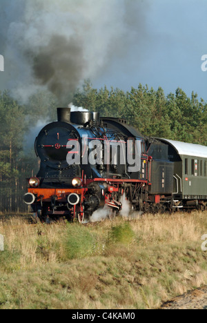 Image Portrait de loco de vapeur et des voitures en Pologne beaucoup de fumée et de la vapeur Banque D'Images