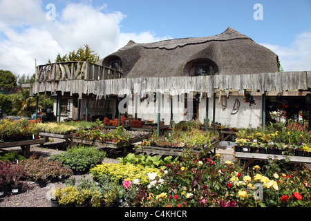 Bandon Garden Centre, West Cork, Irlande Banque D'Images