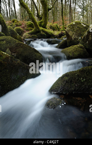 Près de la rivière Meavy Réservoir Burrator à Dartmoor, dans le Devon, coulant entre les rochers couverts de mousse verte. Banque D'Images