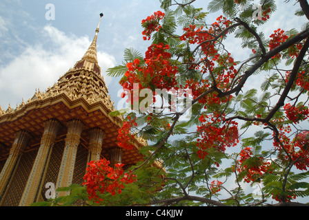 L'Empreinte du Bouddha, Saraburi , ancienne, Siam, Bangkok, Thaïlande. Banque D'Images