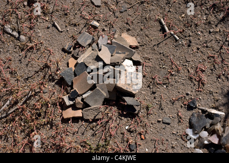 Un regroupement de tessons de poterie Pueblo ancestrales trouvés à Tsankawi : Bandelier National Monument. Banque D'Images