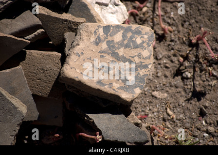 Un regroupement de tessons de poterie Pueblo ancestrales trouvés à Tsankawi : Bandelier National Monument. Banque D'Images