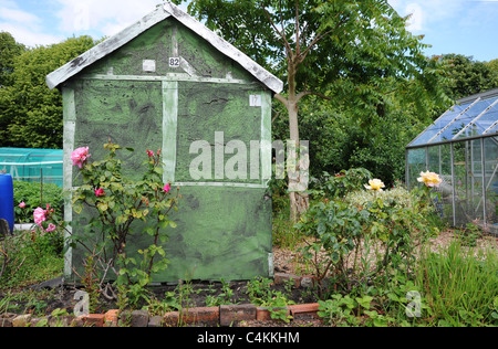 Hangar vert avec des roses sur un allotissement site. Banque D'Images