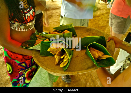 Communautés Embera sont dispersés dans ce désert à la frontière, en grande partie protégés dans les parcs nationaux, y compris 318 000 acres Chagres Banque D'Images