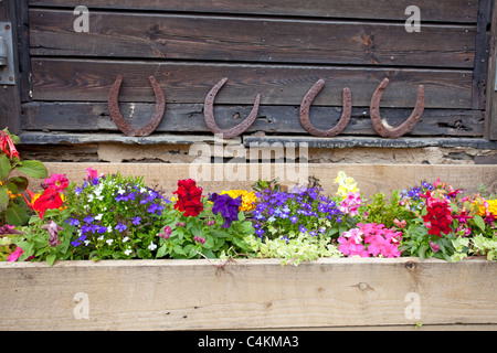 Boîte de fenêtre avec jardin chaussures de cheval dans l'arrière-plan Banque D'Images