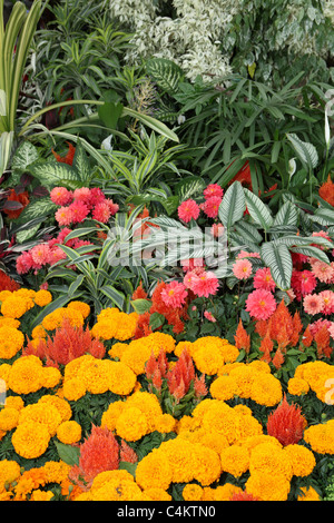 Garden Show Banque D'Images