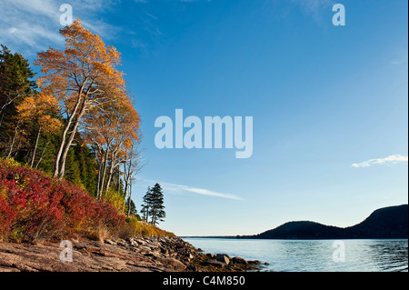 Somes Sound scenic, Mount Desert Island, Maine, USA Banque D'Images