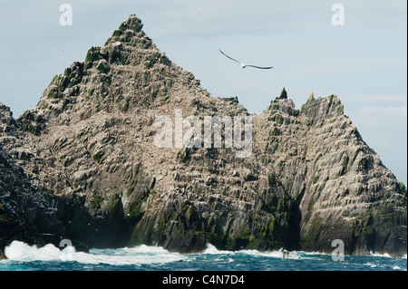 Little Skellig Island, grande colonie de fous de Bassan (Sula bassana) Comté de Kerry, Irlande Banque D'Images