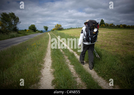 Un pèlerin marche dans un chemin de terre à la française, Saint Jacques de Compostelle, Galice, Espagne. Banque D'Images