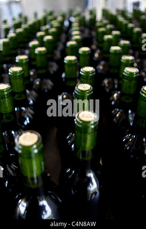 La mise en bouteille de vin dans le vignoble du Château Bellevue Fontcaille dans la région de Bordeaux Banque D'Images