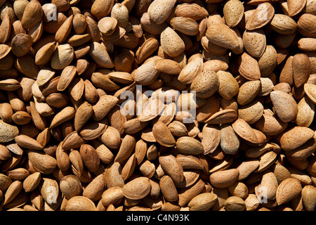 Amandes fraîches en vente au marché alimentaire en région de Bordeaux Banque D'Images