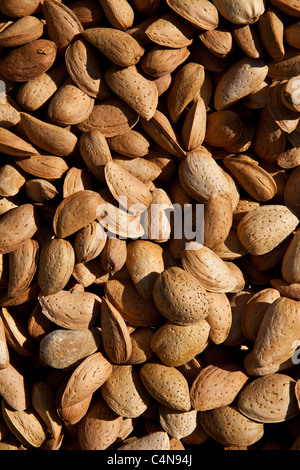 Amandes fraîches en vente au marché alimentaire en région de Bordeaux Banque D'Images