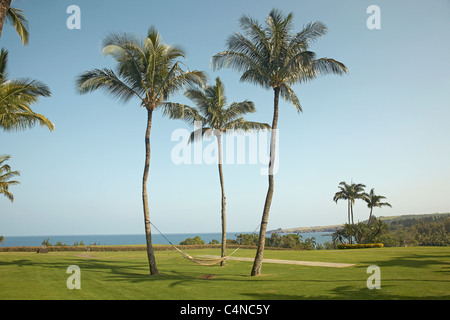 Un hamac suspendu entre deux palmiers, le Ritz-Carlton, Maui, Hawaii, USA Banque D'Images