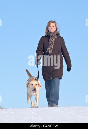 Femme promener son chien labrador retriever jaune, la forêt Assiniboine, Winnipeg, Manitoba, Canada Banque D'Images