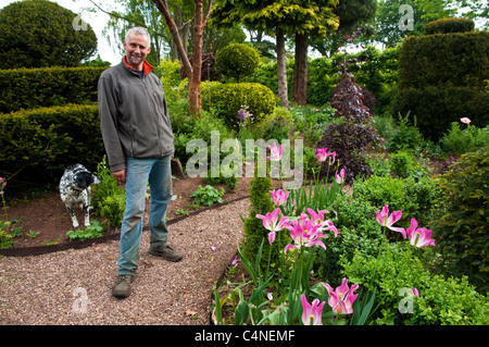 Fier de jardinier et de chien, avec des tulipes roses et toile de topiaires - Laskett au jardin, Herefordshire, Angleterre. Banque D'Images