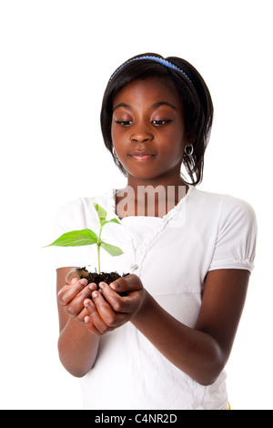 Une nouvelle jeune plante poussant à partir de la paume en mains de belle fille africaine, isolé. La sécheresse sur le concept de la Terre. Banque D'Images