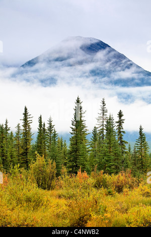 Couleurs d'automne, arbres de pin tordu et la chaîne des Cascades enveloppées de nuages. Le parc national Banff, Alberta, Canada. Banque D'Images