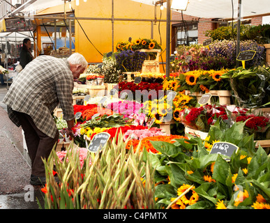 Blocage de fleurs au marché Albert Cuyp d'Amsterdam. Banque D'Images