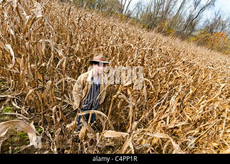 Jeune homme debout dans un champ de maïs. Banque D'Images