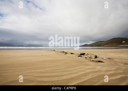 Inch Beach, péninsule de Dingle, comté de Kerry, Irlande Banque D'Images